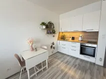 Pronájem bytu 1+kk, Rajhrad, Masarykova, 42 m2