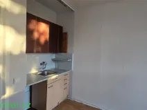 Pronájem bytu 1+kk, Brno, Halasovo náměstí, 24 m2