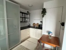 Pronájem bytu 1+kk, Praha - Libeň, Nad Mazankou, 35 m2