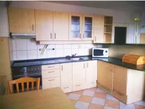 Pronájem bytu 1+kk, Plzeň - Jižní Předměstí, Máchova, 36 m2