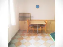Pronájem bytu 1+kk, Plzeň - Jižní Předměstí, Máchova, 36 m2