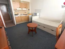 Prodej bytu 1+kk, Ústí nad Labem, Malátova, 22 m2