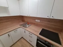 Pronájem bytu 2+1, Teplice - Trnovany, Antonína Sochora, 48 m2