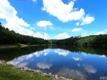 Prodej pozemku pro bydlení, Osvětimany, 25 m2
