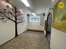 Prodej obchodního prostoru, Ostrava, 30. dubna, 44 m2