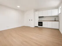 Prodej bytu 2+kk, Brno, Zvěřinova, 46 m2