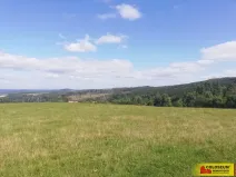 Prodej pole, Velenov, 1032 m2