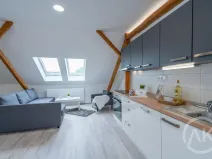 Pronájem bytu 1+kk, Ostrava - Vítkovice, Erbenova, 45 m2