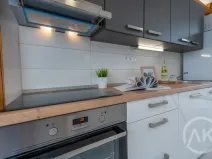 Pronájem bytu 1+kk, Ostrava - Vítkovice, Erbenova, 45 m2