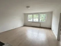 Pronájem bytu 1+1, Ústí nad Labem - Střekov, Novosedlické náměstí, 65 m2