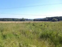 Dražba louky, Drahotín, 855 m2