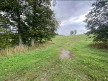 Dražba pozemku pro bydlení, Černá v Pošumaví, 4978 m2