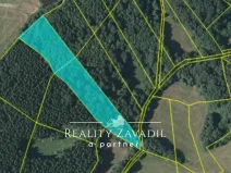 Prodej lesa, Sedlec-Prčice - Sušetice, 8504 m2