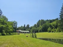 Prodej pozemku pro bydlení, Zábřeh - Dolní Bušínov, 4122 m2