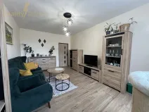 Prodej bytu 2+1, Ostrava, Plzeňská, 54 m2