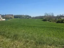 Prodej pozemku pro bydlení, Nové Strašecí, Nádražní, 12266 m2
