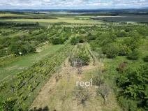 Prodej chaty, Strážnice, 23 m2