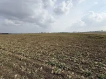 Prodej pole, Toužim - Kojšovice, 25962 m2