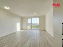 Pronájem bytu 1+kk, Plzeň - Litice, Srncová, 36 m2
