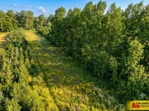 Prodej pole, Znojmo, 2970 m2