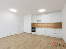 Pronájem bytu 2+kk, Plzeň - Jižní Předměstí, Železná, 60 m2