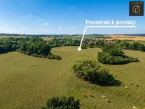 Prodej pozemku pro bydlení, Mirotice - Bořice, 10784 m2
