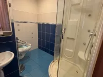 Pronájem bytu 1+1, Sokolov, Alšova, 37 m2