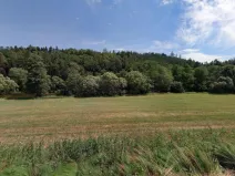 Prodej louky, Sázava - Čeřenice, 3578 m2