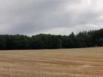 Prodej louky, Bystřice - Líštěnec, 327 m2