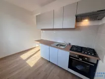 Pronájem bytu 1+1, Jirkov, Ervěnická, 35 m2