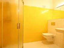 Pronájem bytu 1+kk, Brno, Řadová, 20 m2