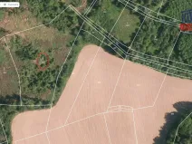 Prodej lesa, Oselce, 6402 m2