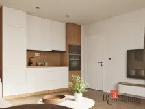 Prodej bytu 1+kk, Ostrava - Moravská Ostrava, Cihelní, 30 m2