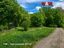 Prodej pole, Pňov-Předhradí - Pňov, 142115 m2