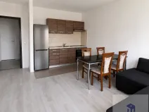 Prodej bytu 2+kk, Ústí nad Labem - Krásné Březno, Čechova, 47 m2