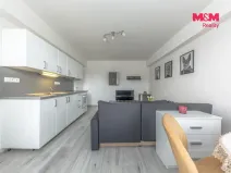 Prodej bytu 2+kk, Mladá Boleslav - Mladá Boleslav II, Jana Palacha, 42 m2