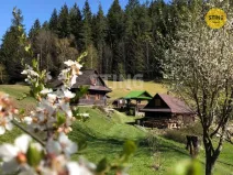Prodej historického objektu, Hutisko-Solanec - Solanec pod Soláněm, 2989 m2