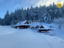 Prodej historického objektu, Hutisko-Solanec - Solanec pod Soláněm, 2989 m2