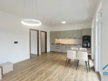 Pronájem bytu 2+kk, Herink, U Kovárny, 55 m2