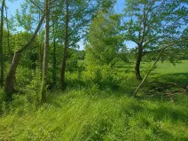 Prodej zahrady, Vilice, 1008 m2