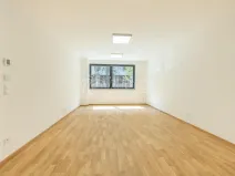 Prodej bytu 3+kk, Praha - Žižkov, Budovcova, 96 m2