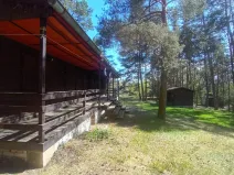 Prodej lesa, Slabčice, 6225 m2