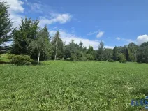 Prodej pozemku pro bydlení, Lipová-lázně, 5360 m2