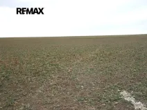 Prodej pozemku pro bydlení, Pavlíkov, 895 m2