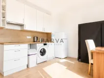 Pronájem bytu 1+kk, Plzeň - Jižní Předměstí, U Borského parku, 20 m2