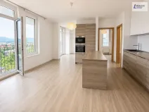 Pronájem bytu 2+kk, Králův Dvůr, Na Horizontu, 54 m2