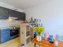 Pronájem bytu 1+kk, Slaný, Lázeňská, 37 m2