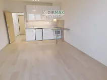 Pronájem bytu 1+kk, Plzeň - Jižní Předměstí, Magisterská, 34 m2