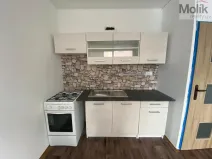 Pronájem bytu 1+1, Chomutov, Kundratická, 38 m2