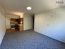 Prodej bytu 2+kk, Most, F. L. Čelakovského, 40 m2